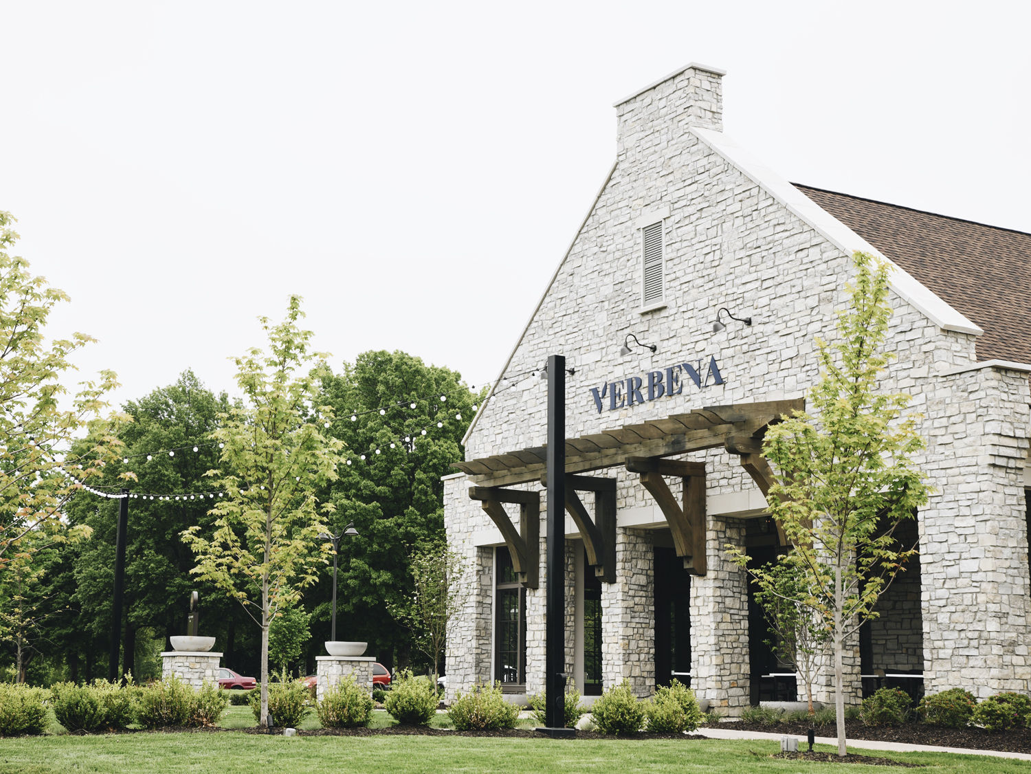 Verbena